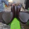 jumping saddle